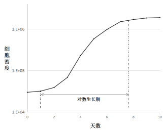 培養(yǎng)細胞的典型生長模式圖