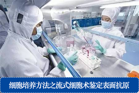 細(xì)胞培養(yǎng)方法之流式細(xì)胞術(shù)鑒定表面抗原