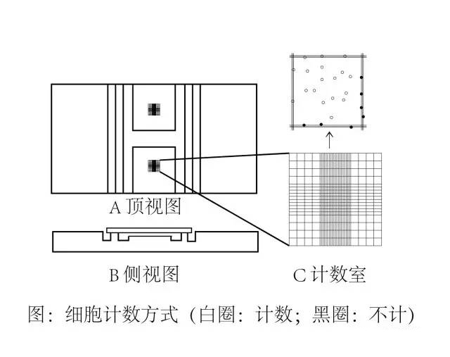 細(xì)胞培養(yǎng)方法之細(xì)胞計(jì)數(shù)